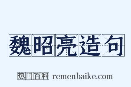 魏昭亮造句是什么意思的图片